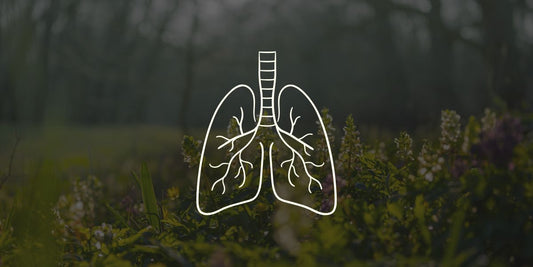 Wellenatmung des Neubeginns