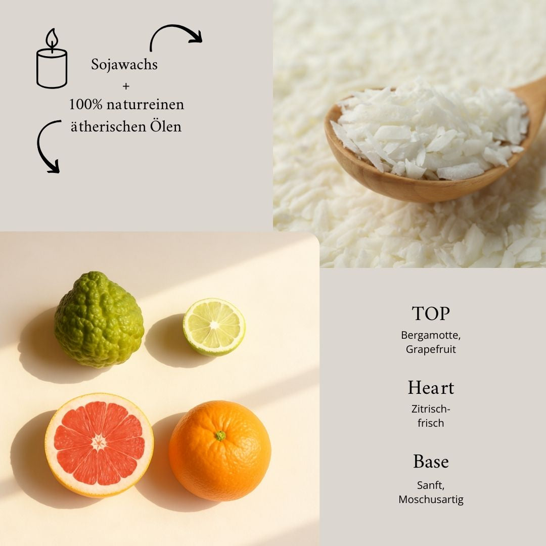 Duftnoten und Inhaltsstoffe von Morning Light Duftwachs und Duftkerze – Sojawachs, 100% naturreine ätherische Öle, Zitrusfrüchte.