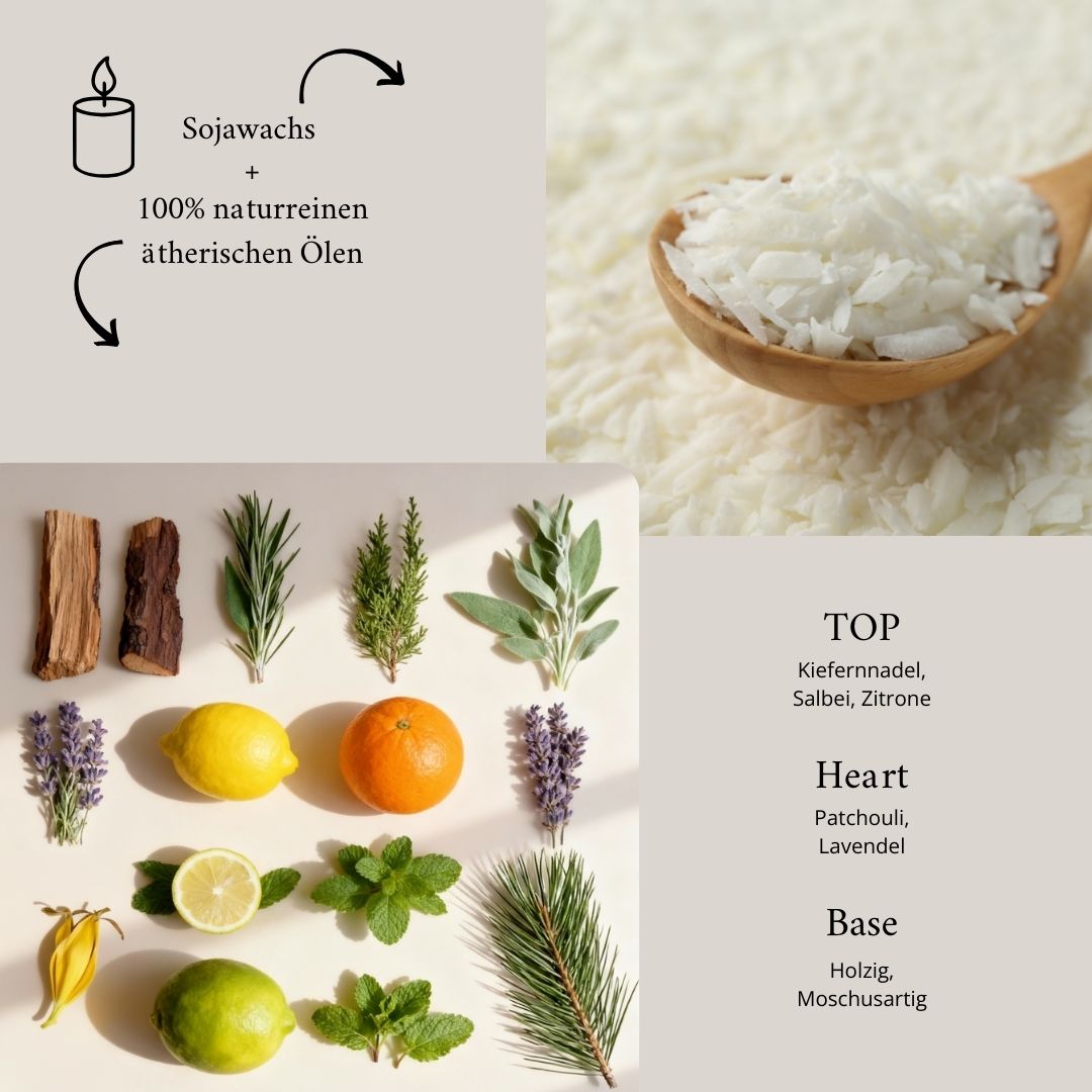 Duftnoten und Inhaltsstoffe des Forest Walk Duftwachses und Duftkerze – Sojawachs, 100% naturreine ätherische Öle.
