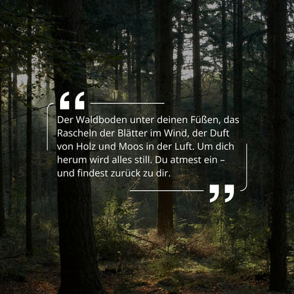 Tief grüner Wald & sanfte Sonnenstrahlen, Beschreibung über den Moment mit Elvelora Forest Walk Duft – für mehr Ruhe im Alltag.