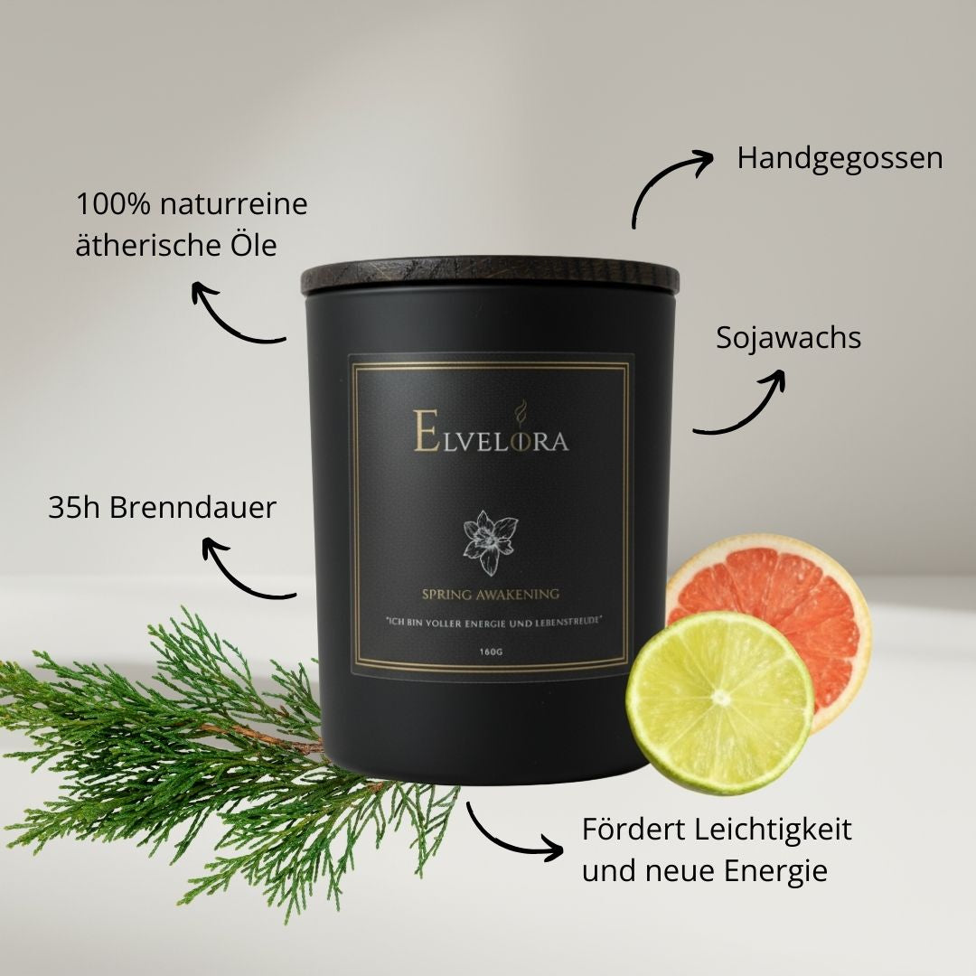 Spring Awakening Duftkerze von Elvelora mit natürlichen Zutaten: Sojawachs, Zypresse, Bergamotte, Limette, etc. – fördert Leichtigkeit und neue Energie.